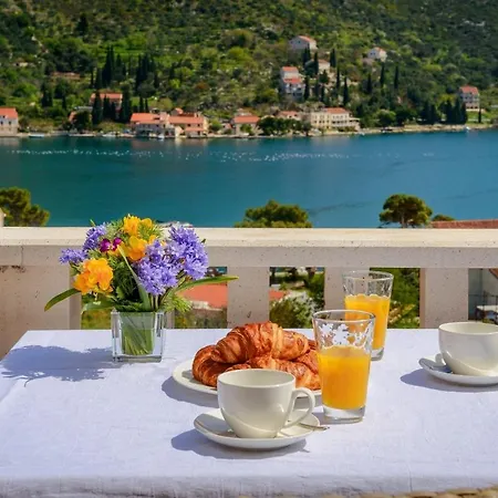 Stylish Private With Heated Pool Playground Zaton (Dubrovnik-Neretva)